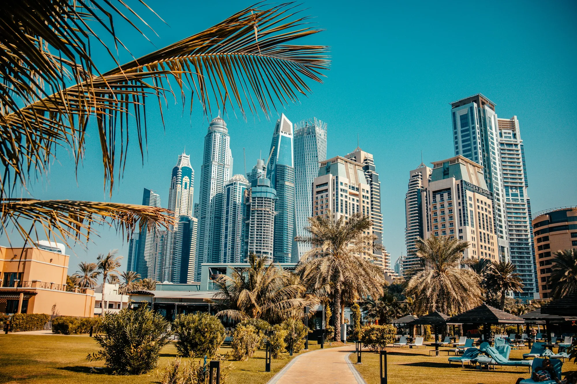 Palm trees and a resort garden in front of the Dubai Marina towers